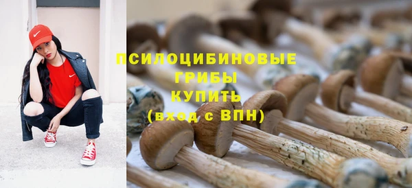 PSILOCYBIN Абинск