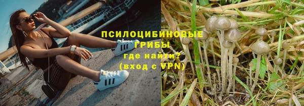 мяу мяу кристалл Алексин