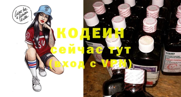 спиды Арсеньев