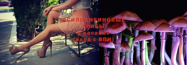 PSILOCYBIN Абинск