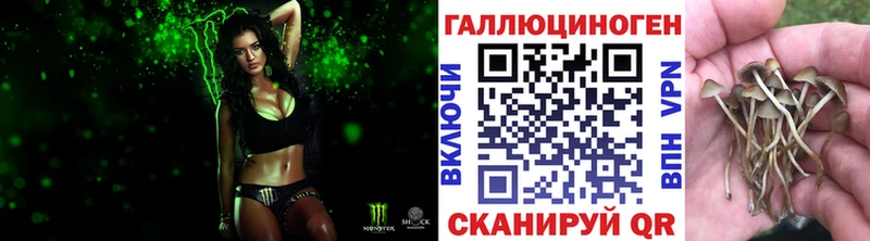 Галлюциногенные грибы Psilocybine cubensis omg рабочий сайт Отрадная